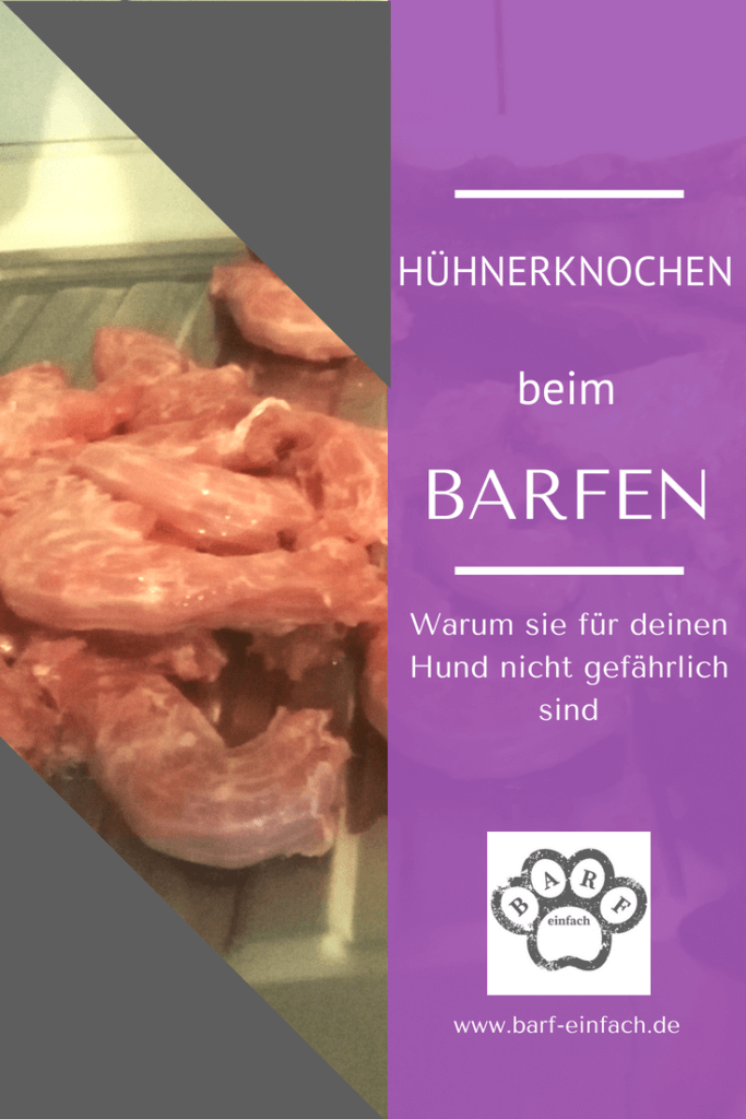 Hühnerknochen für den Hund gefährlich oder nicht? Barf Einfach