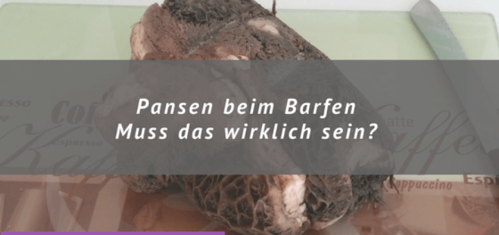 Pansen, Messer