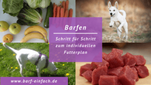 E-Book: Schritt für Schritt zum individuellen Futterplan - Barf Einfach