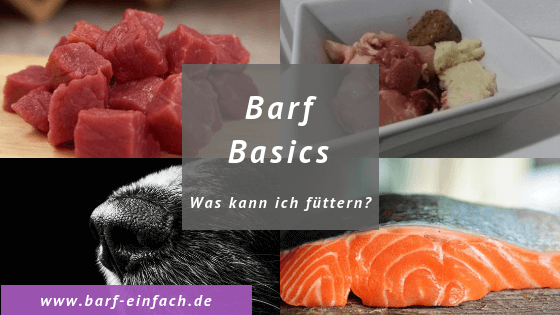 Barf basics Was kann ich füttern? Fleisch, Futternapf, Fisch, Hundeschnauze