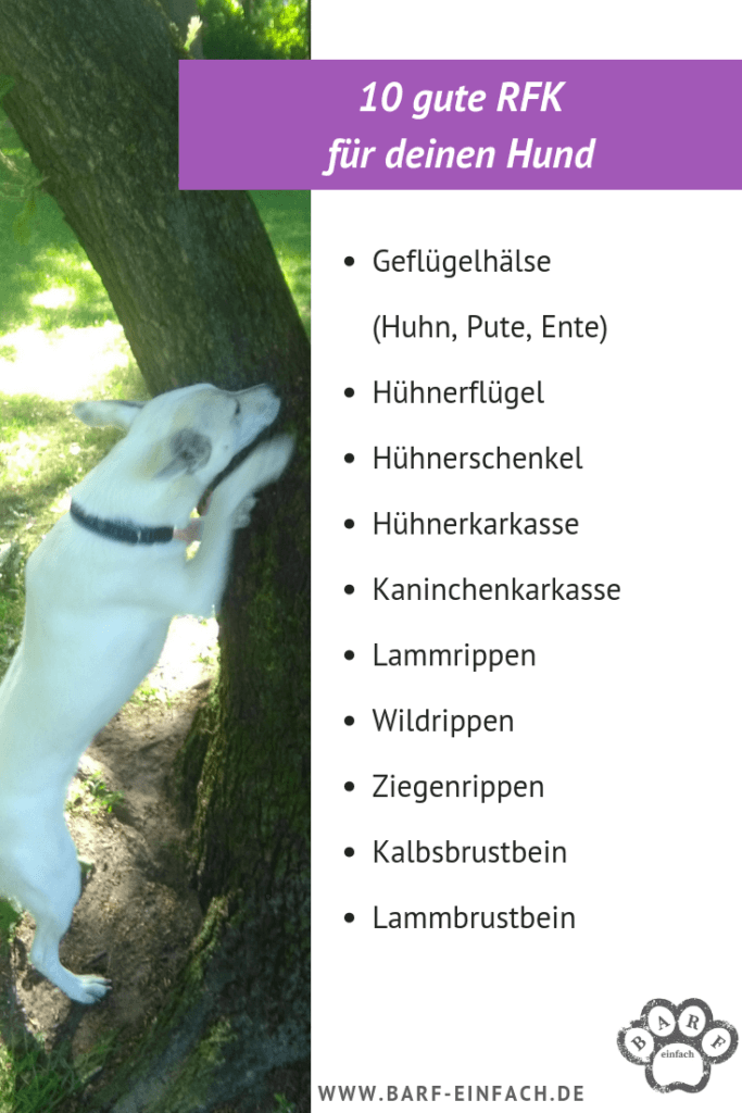 Barf basics Übersicht RFK, Hund am Baum